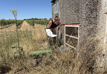 Responsable de la gestion quantitative de l'eau, Sarah Aubert est inspectrice environnementale pour la police de l'eau à la DDT.