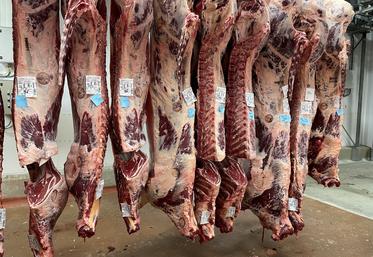 Les Français ont consommé en moyenne 21,3 kg éq. carcasse de viande bovine (kgéc) en 2023, soit 5 kg de moins qu'en 2003. Le porc et l'agneau sont également en baisse, supplantés par la volaille, qui a gagné 7 kgéc en vingt ans, soit 29 kgéc/pers. en 2023.