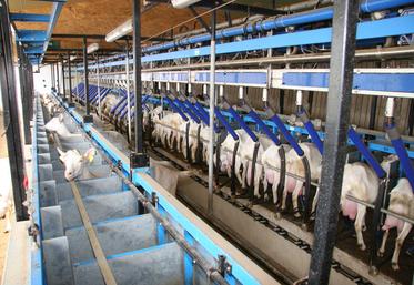 La collecte a baissé de 4,6 % en France sur le premier quadrimestre 2025.