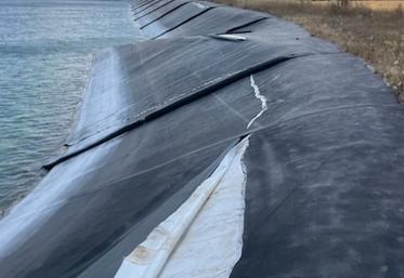 A Benon, les bâches ont été découpées au cutter. Le préjudice financier est très important. Ces actes impactent fortement le moral des agriculteurs. 