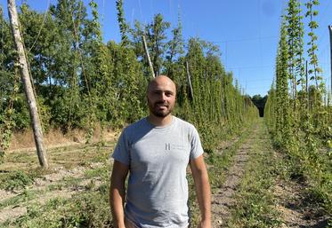 Vincent Auzanneau est également vice-président de l'association Houblon Nouvelle-Aquitaine.