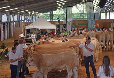 380 Blondes d'Aquitaine venues de 40 départements ont concouru du 22 au 24 août.