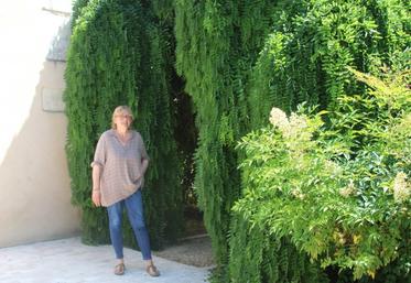 Sylvie Retailleau devant le Sophora pleureur du gîte " chez Gustave ".