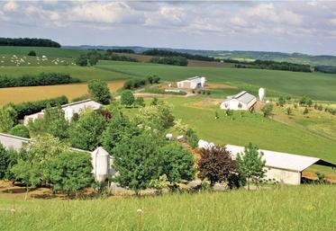 La DDT instruit en moyenne 500 demandes d'autorisation d'exploiter par an. Le nombre d'autorisations d'exploiter est stable dans le temps mais devrait naturellement s'accélérer avec l'augmentation des départs en retraite dans les quinze années à venir.