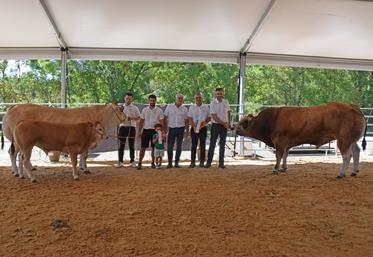 La vache Nacelle (Gaec la Guillotière), grande habituée des podiums, a été sacrée championne adulte. Elle est la mère du champion taureau adulte, Uranium, appartenant au Gaec Bodin.