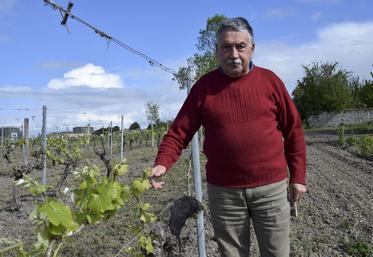 Dominique Pasquet, président du Silfa.