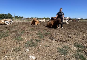 Amélie Teixeira, au milieu de ses vaches, dans sa ferme située à quelques mètres de l'estuaire de la Gironde.