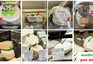 Difficile de s'y retrouver dans les étals des grandes surfaces, chez les fromagers ou dans les magasins de producteurs. Pour les produits non emballés, même si les Mothais-sur-Feuille sont des vrais, l'AOC n'est pas toujours indiquée...