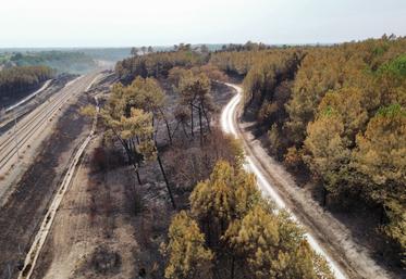 Le feu a traversé la ligne LGV.