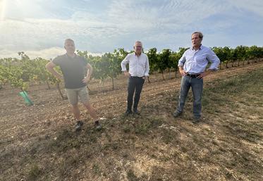 De gauche à droite : Fabrice Thibaudeau, viticulteur et représentant du Groupe Technique Flavescence Dorée de la Fédération des Interprofessions ; Vincent Lang, directeur du pôle Technique et Développement Durable du BNIC ; Éric Billhouet, président de la Fédération des Interprofessions du Bassin Viticole Charentes-Cognac.