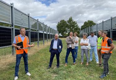 La parcelle est équipée de capteurs, sur la zone équipée comme sur la zone témoin. La première année d'expérimentation rend compte de fourrages présentant un meilleur taux d'azote
dans la partie ombragée par les panneaux.