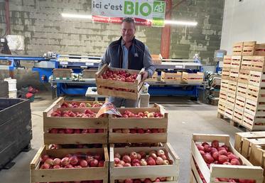 La récolte de pommes est déjà bien avancée à Secondigny.