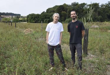 Florence Thivet et Nicolas, un stagiaire de la ferme, devant un rang d'arbres plantés dans une démarche d'agroforesterie.