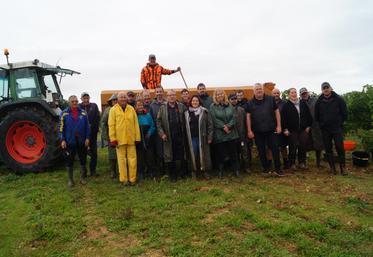 Le groupe de vendangeurs attelé sur une parcelle de merlot rouge.