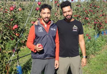 Même si les années difficiles s'enchaînent dans les vergers, Soufiane et Issam Hachmi soulignent leur amour de ce métier. « La météo est intransigeante, mais d'un autre côté, c'est satisfaisant de pouvoir cueillir des fruits que l'on a vu grandir et se développer. Ça n'a pas de prix. Et les retours des clients font plaisir également. »