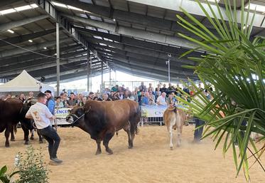 Le défilé des animaux primés, un grand moment.