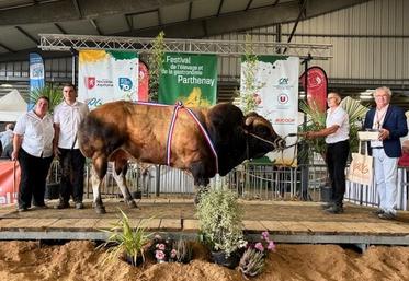Sardou, du Gaec de l'Eteil (Fomperron), a été sacré champion mâle adulte.