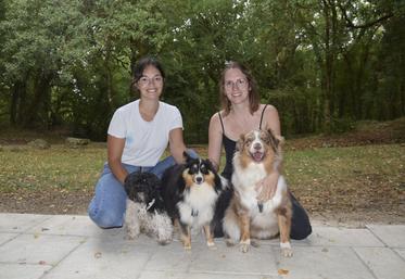 Laura (à gauche) est ostéopathe pour animaux et Méline est éducatrice canine. Elles sont accompagnées de Cookie (bichon havanais), Upsy (berger des Shetlands) et Saïka (berger australien).