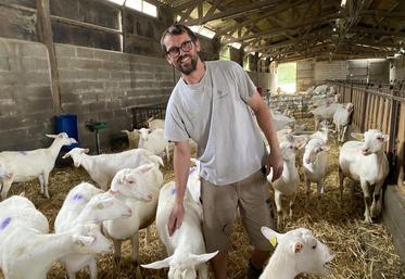 Olivier Billaud cherche un lieu pour construire un élevage plus grand et plus moderne.