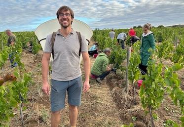 Avec les belles vendanges en cours, Clément Bos, vigneron à Oiron peut avoir le sourire. Les fruits sont en nombre, avec une belle acidité.