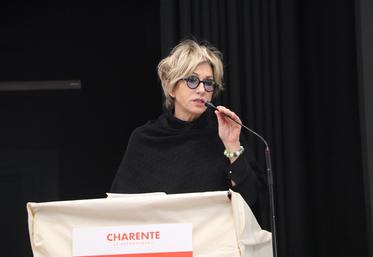 Nicole Bonnefoy, vice-présidente du Département, a confirmé sa candidature