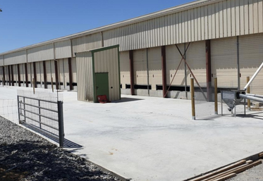 Les travaux portent beaucoup sur le bien-être, comme ici avec l'accroissement de la lumière extérieure pour les volailles.