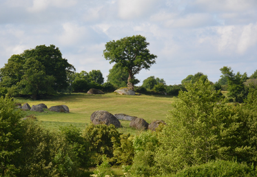 75 % du territoire de Gâtine est constitué de surfaces agricoles, dont près de la moitié est en prairies.