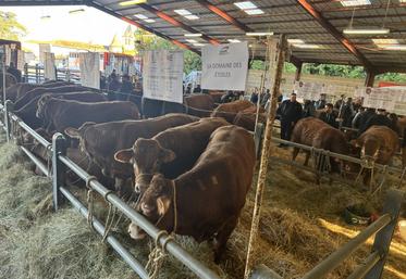 Les prix se sont envolés, à raison de près de 5 700 euros en moyenne.