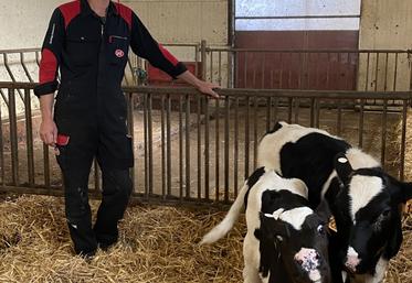Franck Moreau, avec les génisses Altesse et Alésia. L'éleveur, dont les vaches produisent 11 000 à 12 000 litres/an, estime que le bien-être est un élément prioritaire de la conduite du troupeau.