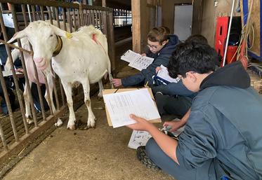 125 candidats ont passé l'épreuve de pointage.