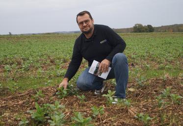 Le céréalier de Gurat, Ludovic Massacret, est le nouveau président national de l'association #agridemain.