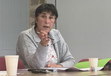 Nathalie Augas, conseillère en production ovine à la Chambre d'Agriculture, a présenté les bilans d'activité lors de l'assemblée générale de l'Aeocape.

