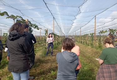Axelle Benoist a expliqué son installation et la conduite de la production de kiwis, pendant toute la matinée du 15 septembre.