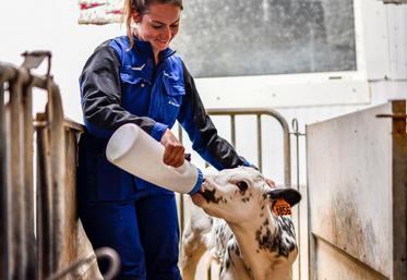 L'association des laiteries coopératives souhaite notamment améliorer l'image de la filière lait auprès des jeunes afin de les inciter davantage à se tourner vers les métiers qu'elle propose.