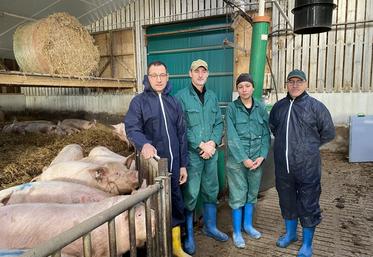 Les deux bâtiments pour les gestantes sont sur aires paillées en pente. De gauche à dr. : Régis Rézeau (Cooperl), Jérôme Clerc, Jeanne (salariée sur la ferme) et Samuel Bernard (Alicoop).