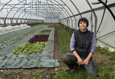 


 "La commune était accueillante, les installations en place étaient fonctionnelles, même si certaines nécessitaient des améliorations (comme le remplacement des bâches des serres ou la modernisation du système d'irrigation). Il y avait déjà des débouchés, notamment des marchés locaux, ce qui était rassurant", explique Marie-Loup Nivet, maraîchère  en agriculture biologique à Salles-Lavalette depuis fin 2023.