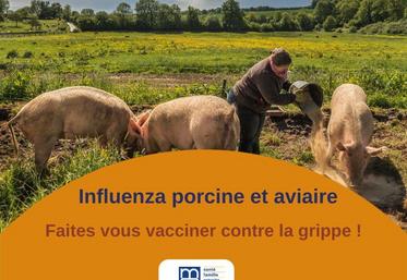 Tous les professionnels travaillant au contact des porcs ou des volailles sont invités à se faire vacciner.