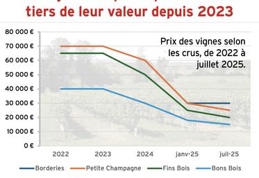 Prix des vignes en Charente-Maritime (2022 - 2025).