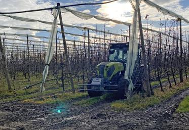 Le tracteur autonome, ici un Class Nexos 240L, passe dans
les rangs sans nécessiter de supervision.