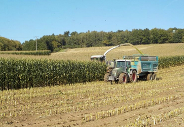 Avec des récoltes records en grandes cultures, le marché est inondé et peine à rémunérer correctement les producteurs.