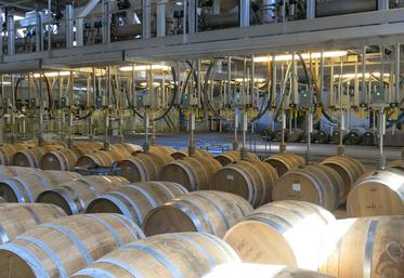 Chai de vieillissement du cognac chez le négociant Hennessy.