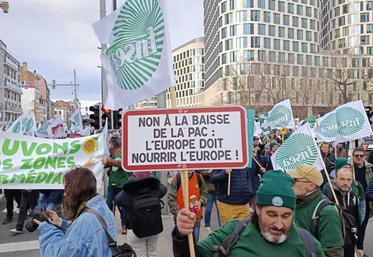 Les manifestants ont lancé leur cortège en début d'après-midi.