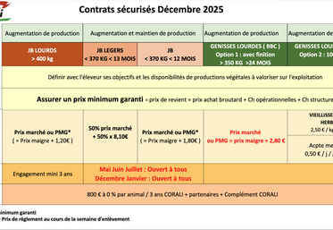 Tableau des contrats d'engraissement de Corali avec leurs caractéristiques (décembre 2025).