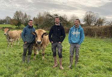 Guillaume, Richard et Vincent Gauthier, accompagnés d'Ocarina. Le troupeau est au pré huit mois de l'année.
