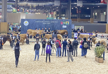 Pas de concours de Parthenaises au SIA en 2026. Les sélections en ferme devaient commencer la semaine prochaine...