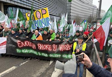 Le cortège a pris la direction du Parlement Européen.