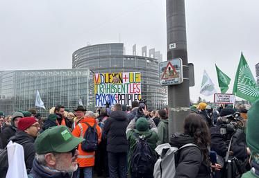 L'action a été en priorité menée devant le Parlement.