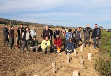 L'objectif de la plantation est de favoriser la circulation de la faune, principalement les oiseaux et les insectes pollinisateurs.