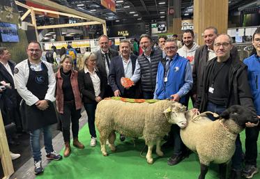 Philippe Berger a de nouveau remporté 7 prix au Sia, notamment avec ce bélier, déjà primé l'année dernière et à la Ferme s'Invite.