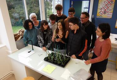 Les élèves de 1ère Production horticole doivent relever le défi de livrer 300 000 graines d'arabette des dames pour le projet ChlorISS.